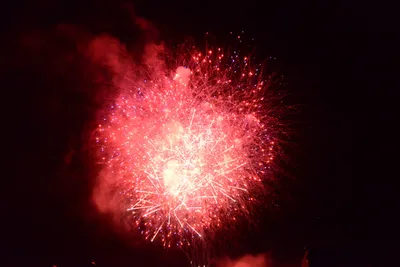 DSC_3438 (Large).JPG